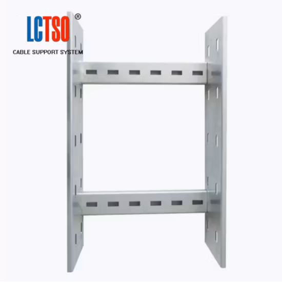 관통되는 지휘자 ​​유형 철강선 메시 뜨거운 DIP/전 직류 전기를 통한 케이블 덕트